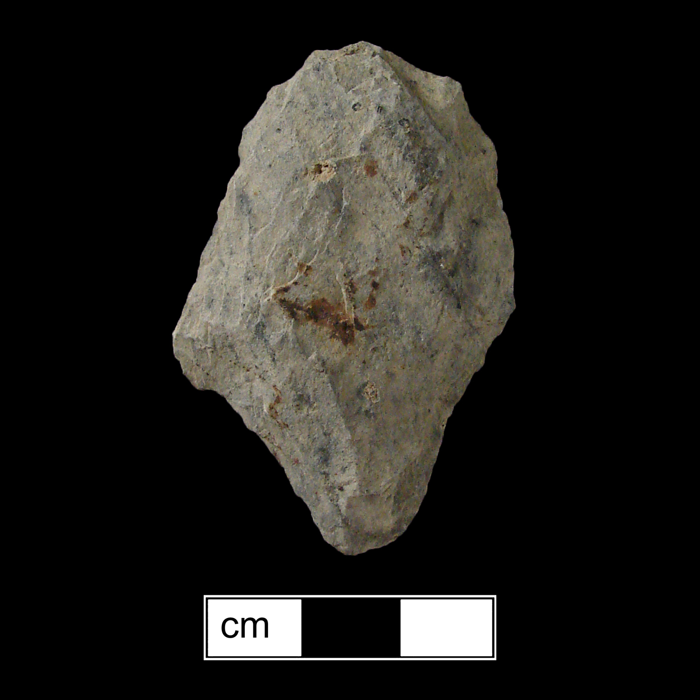 Image of stone projectile point made of Rhyolite, Contracting Stem shape, with a contracting stem, Excurvate blade, and Convex base shape. Lehigh/Koens-Crispin type.