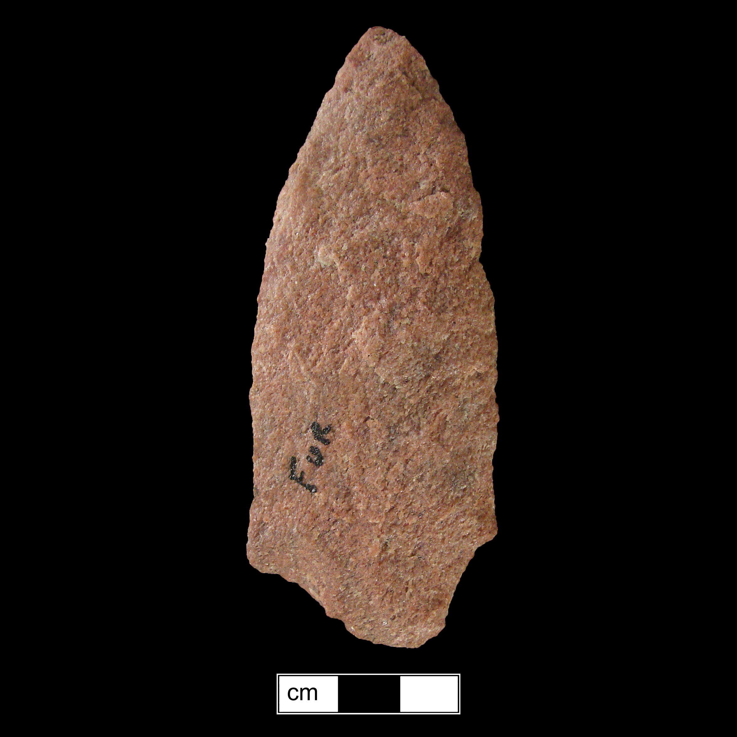 Image of stone projectile point made of Quartzite, Contracting Stem shape, with a Contracting stem, Excurvate blade, and Straight base shape. Lehigh/Koens-Crispin type.