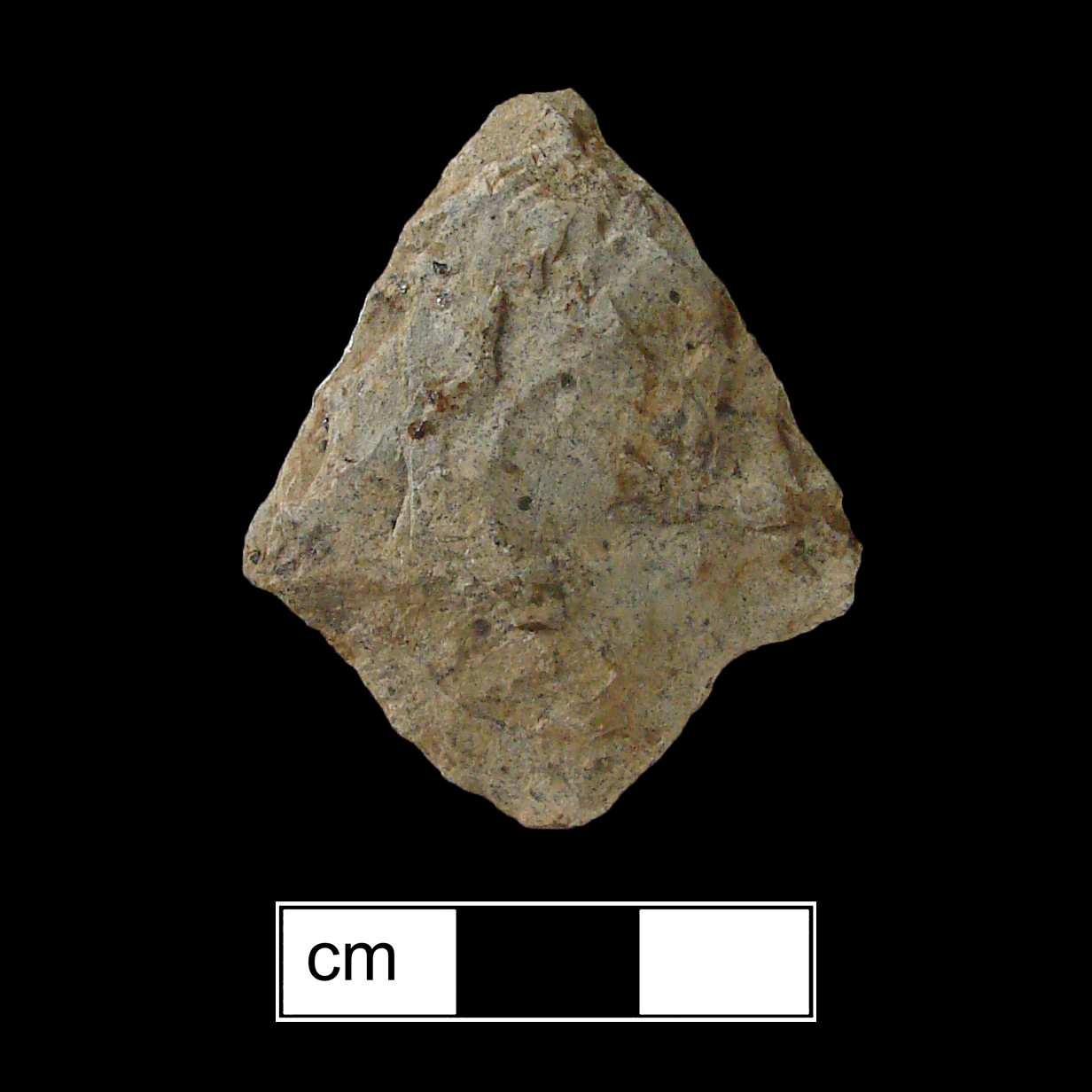 Image of stone projectile point made of Rhyolite, Contracting Stem shape, with a contracting stem, Straight blade, and Convex base shape. Lehigh/Koens-Crispin type.