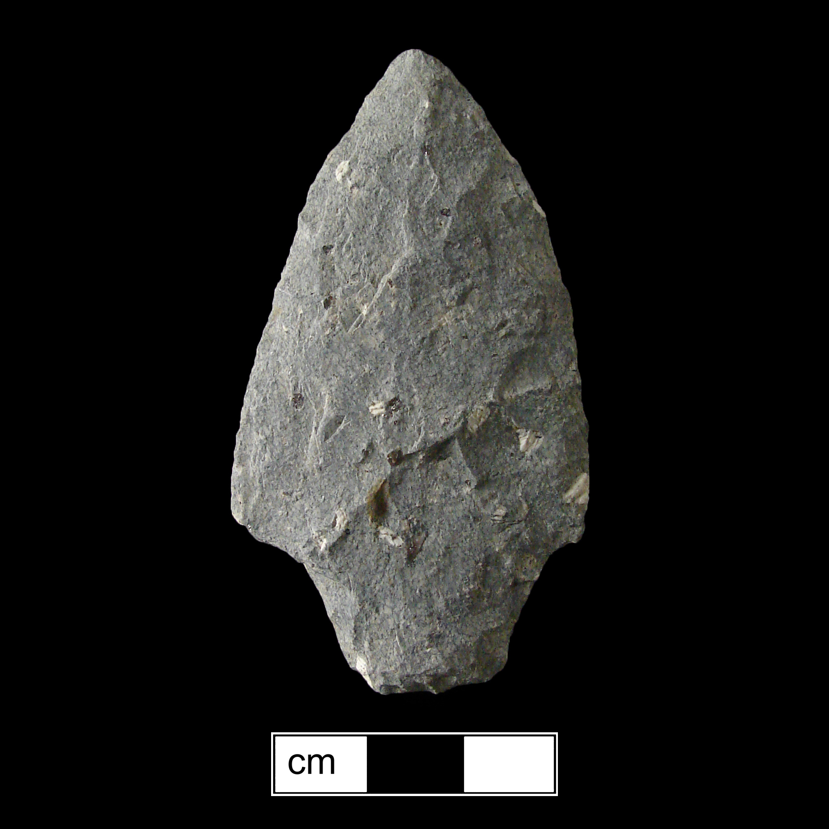 Image of stone projectile point made of Rhyolite, Contracting Stem shape, with a Contracting stem, Excurvate blade, and Straight base shape. Lehigh/Koens-Crispin type.