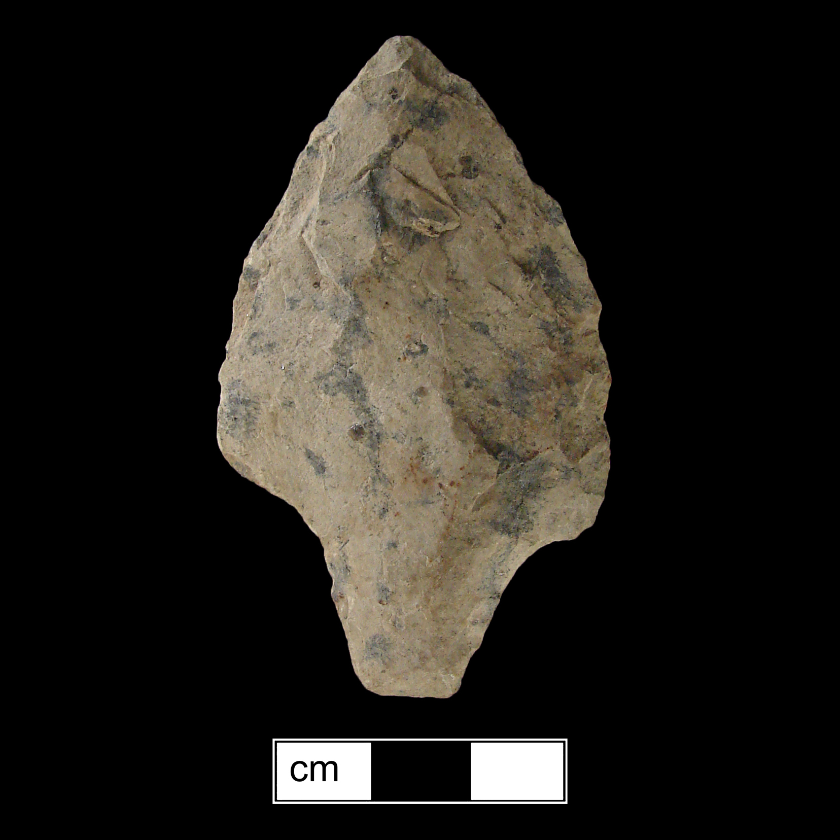 Image of stone projectile point made of Rhyolite, Contracting Stem shape, with a Contracting stem, Excurvate blade, and Straight base shape. Lehigh/Koens-Crispin type.