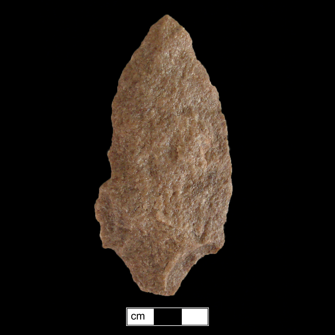 Image of stone projectile point made of Quartzite, Contracting Stem shape, with a Contracting stem, Excurvate blade, and Straight base shape. Lehigh/Koens-Crispin type.