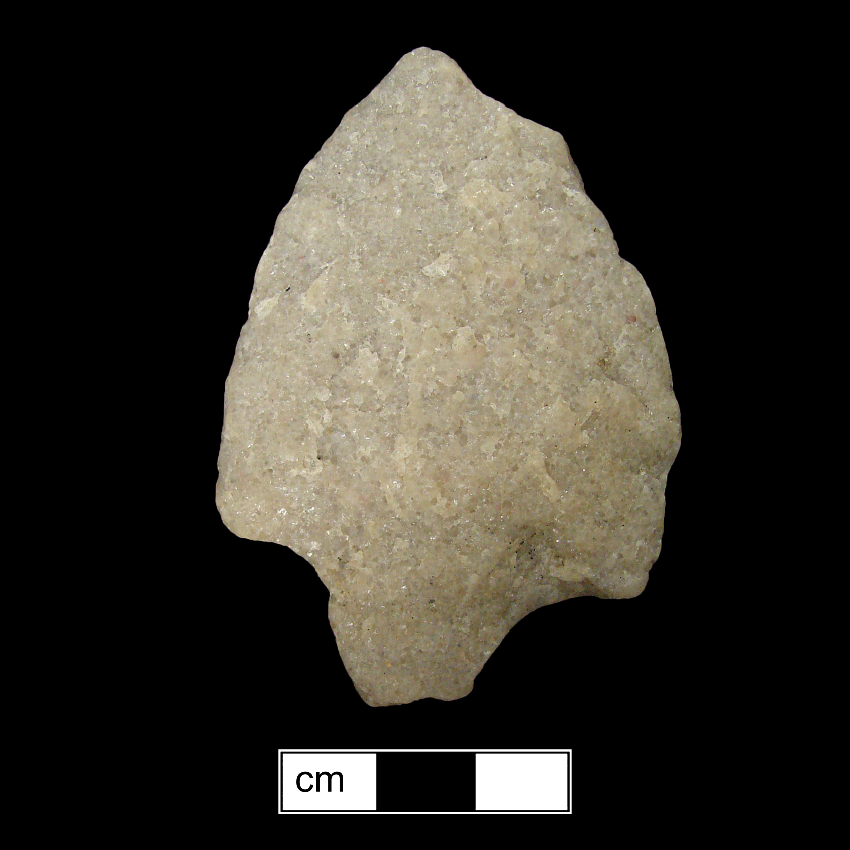 Image of stone projectile point made of Quartzite, Contracting Stem shape, with a Contracting stem, Excurvate blade, and Straight base shape. Lehigh/Koens-Crispin type.