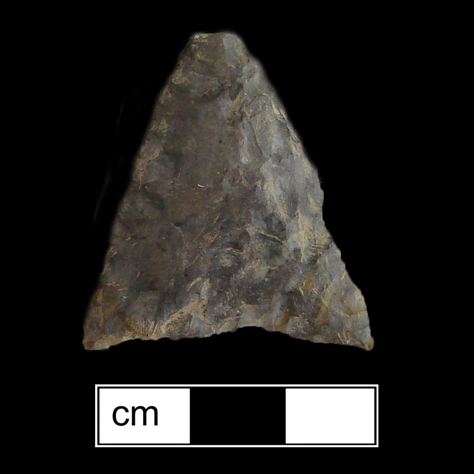 Image of stone projectile point made of Chert, Triangular shape, with a N/A stem, Straight blade, and Concave base shape. Levanna type.