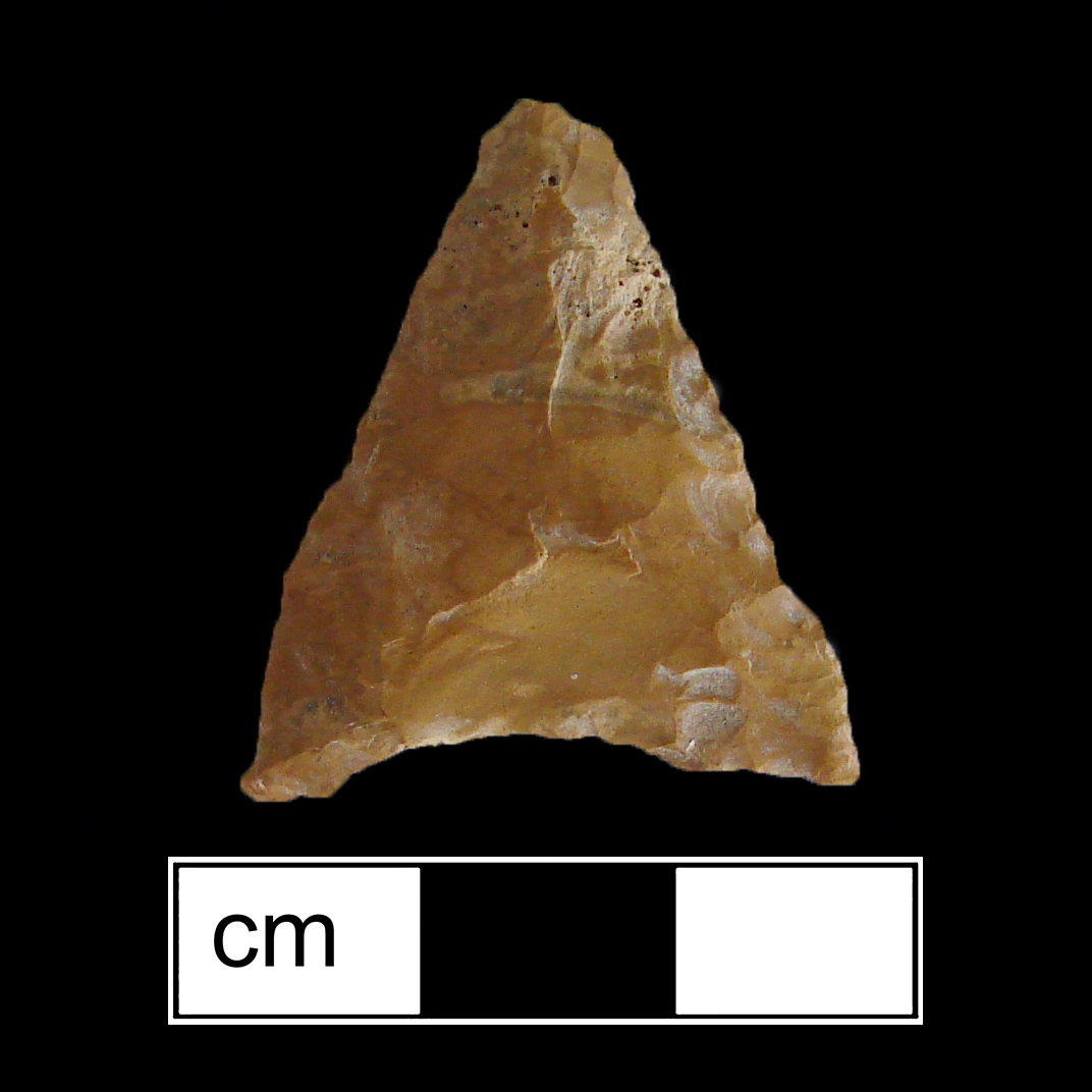 Image of stone projectile point made of Jasper, Triangular shape, with a N/A stem, Straight blade, and Concave base shape. Levanna type.