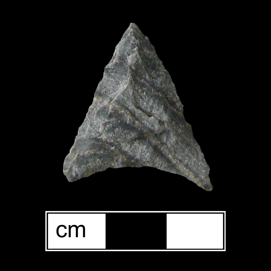 Image of stone projectile point made of Rhyolite, Triangular shape, with a N/A stem, Straight blade, and Concave base shape. Levanna type.