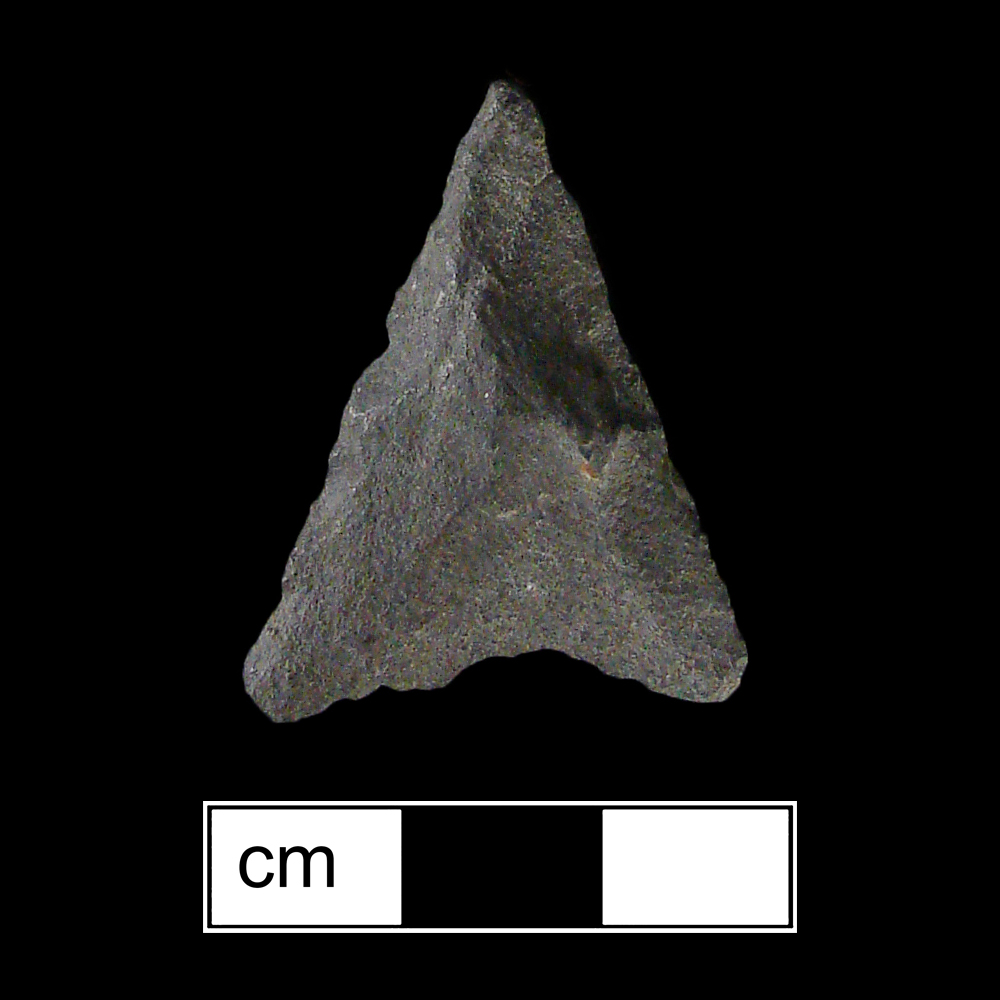 Image of stone projectile point made of Argillite, Triangular shape, with a N/A stem, Straight blade, and Concave base shape. Levanna type.