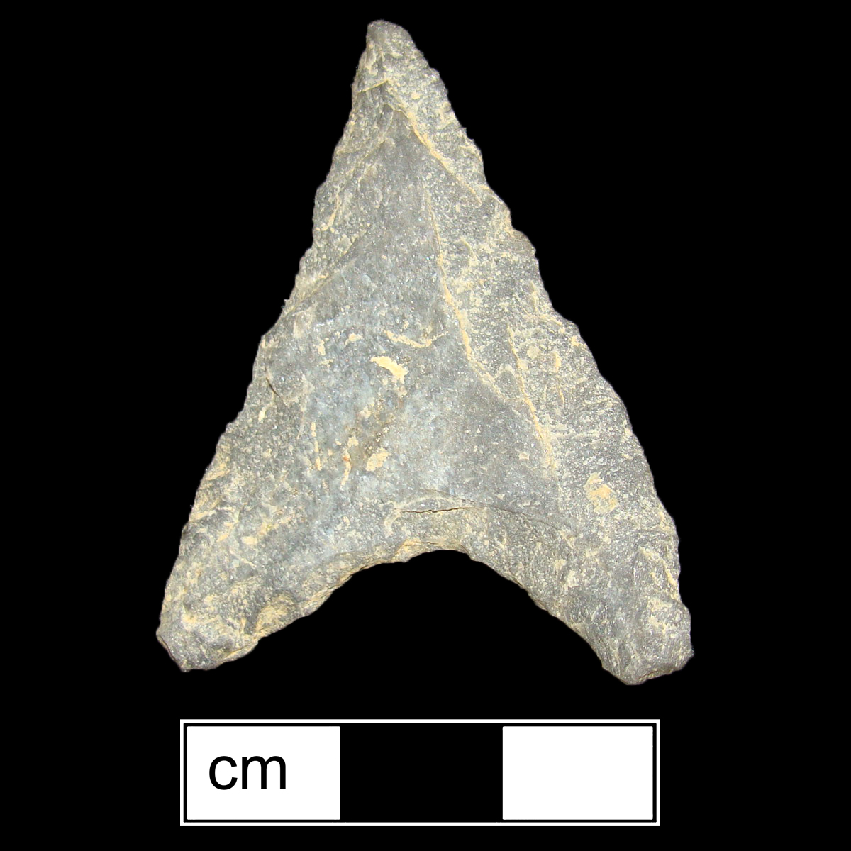 Image of stone projectile point made of Rhyolite, Triangular shape, with a N/A stem, Straight blade, and Concave base shape. Levanna type.