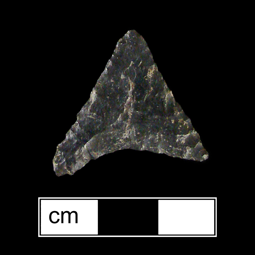 Image of stone projectile point made of Chert, Triangular shape, with a N/A stem, Straight blade, and Concave base shape. Levanna type.