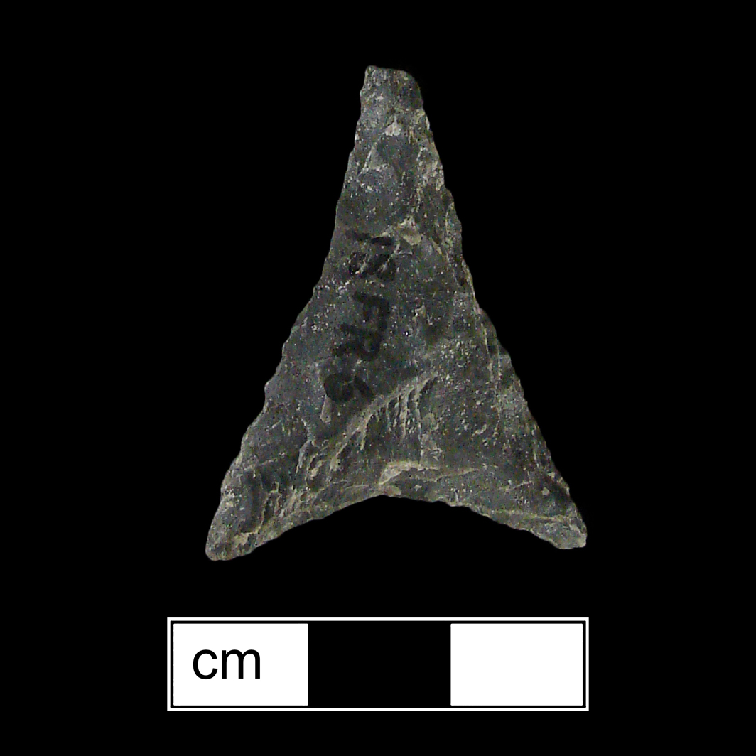 Image of stone projectile point made of Chert, Triangular shape, with a N/A stem, Incurvate blade, and Concave base shape. Levanna type.