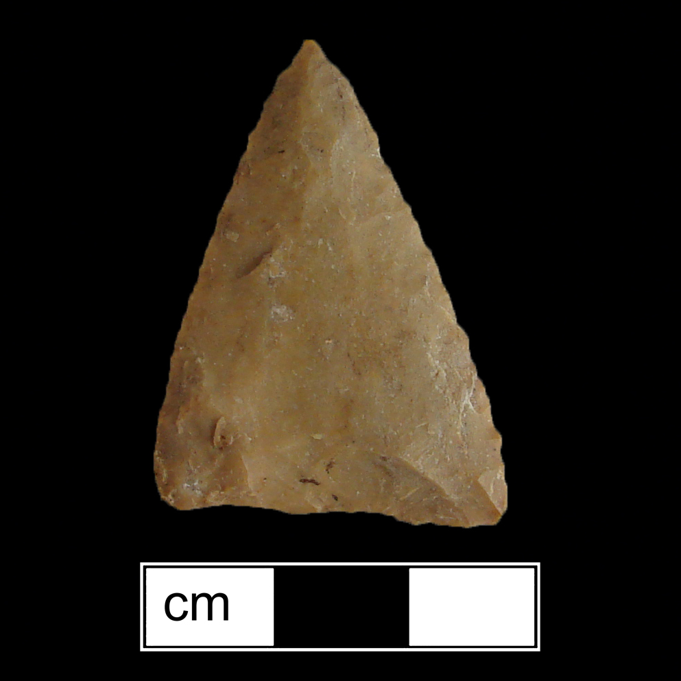 Image of stone projectile point made of Jasper, Triangular shape, with a N/A stem, Straight blade, and Straight base shape. Levanna type.