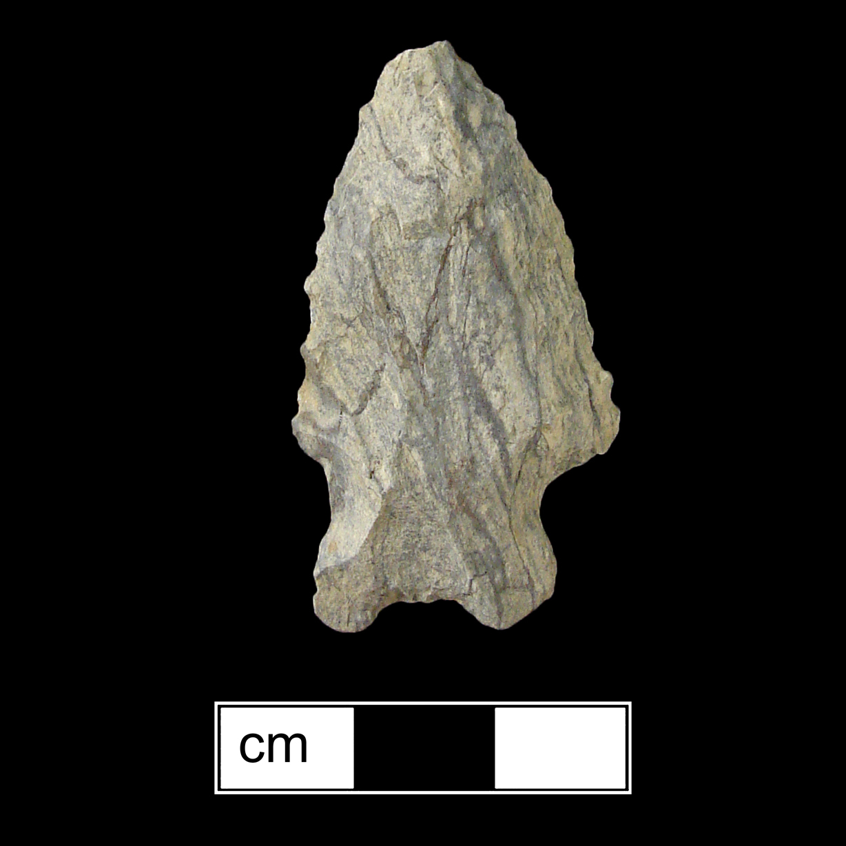 Image of stone projectile point made of Rhyolite, Bifurcate shape, with a Expanding stem, Excurvate blade, and Bifurcate base shape. MacCorkle type.
