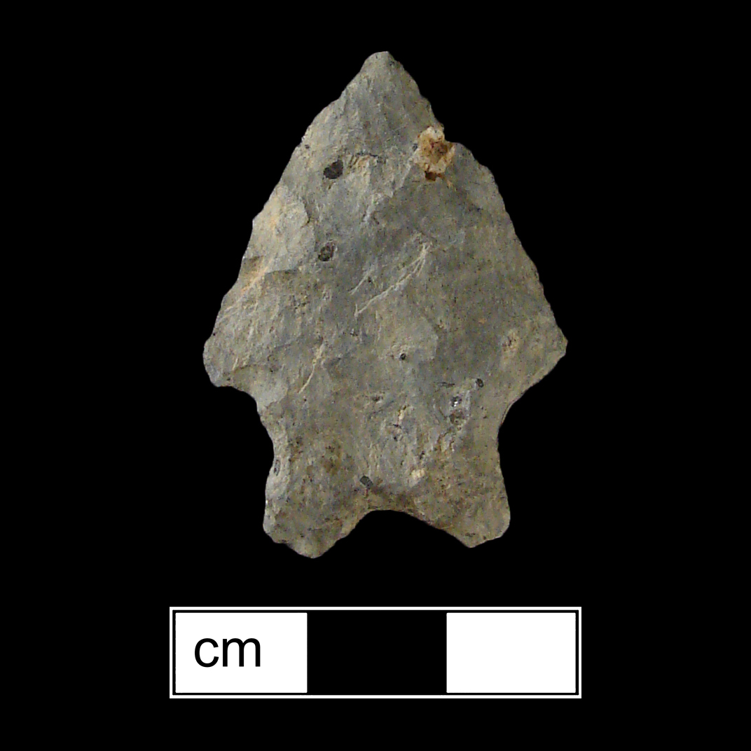 Image of stone projectile point made of Rhyolite, Bifurcate shape, with a Expanding stem, Excurvate blade, and Bifurcate base shape. MacCorkle type.