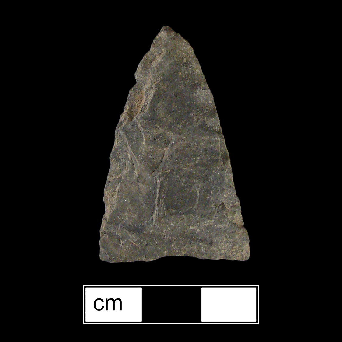 Image of stone projectile point made of Rhyolite, Triangular shape, with a N/A stem, Excurvate blade, and Straight base shape. Madison type.