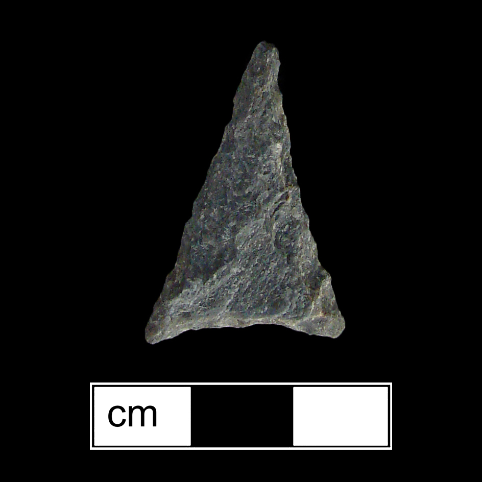 Image of stone projectile point made of Rhyolite, Triangular shape, with a N/A stem, Incurvate blade, and Concave base shape. Madison type.