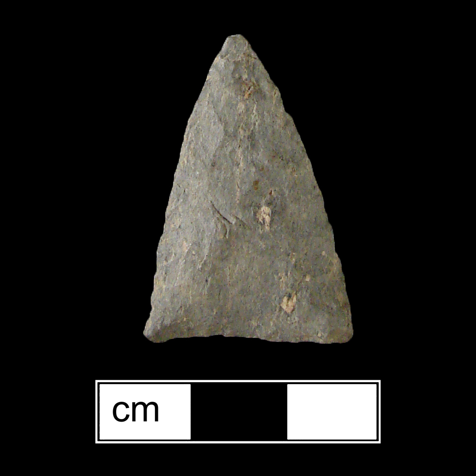 Image of stone projectile point made of Rhyolite, Triangular shape, with a N/A stem, Excurvate blade, and Straight base shape. Madison type.