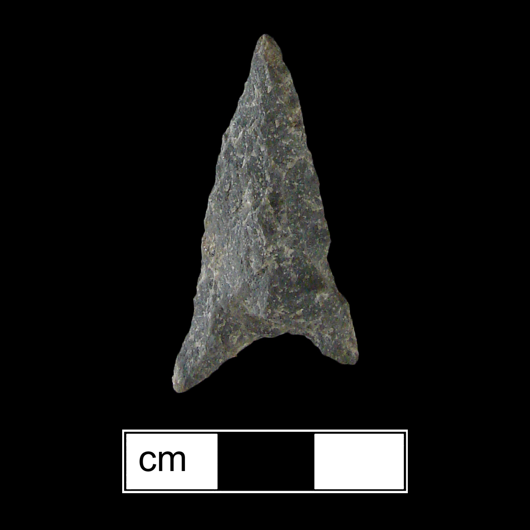 Image of stone projectile point made of Rhyolite, Triangular shape, with a N/A stem, Straight blade, and Concave base shape. Madison type.