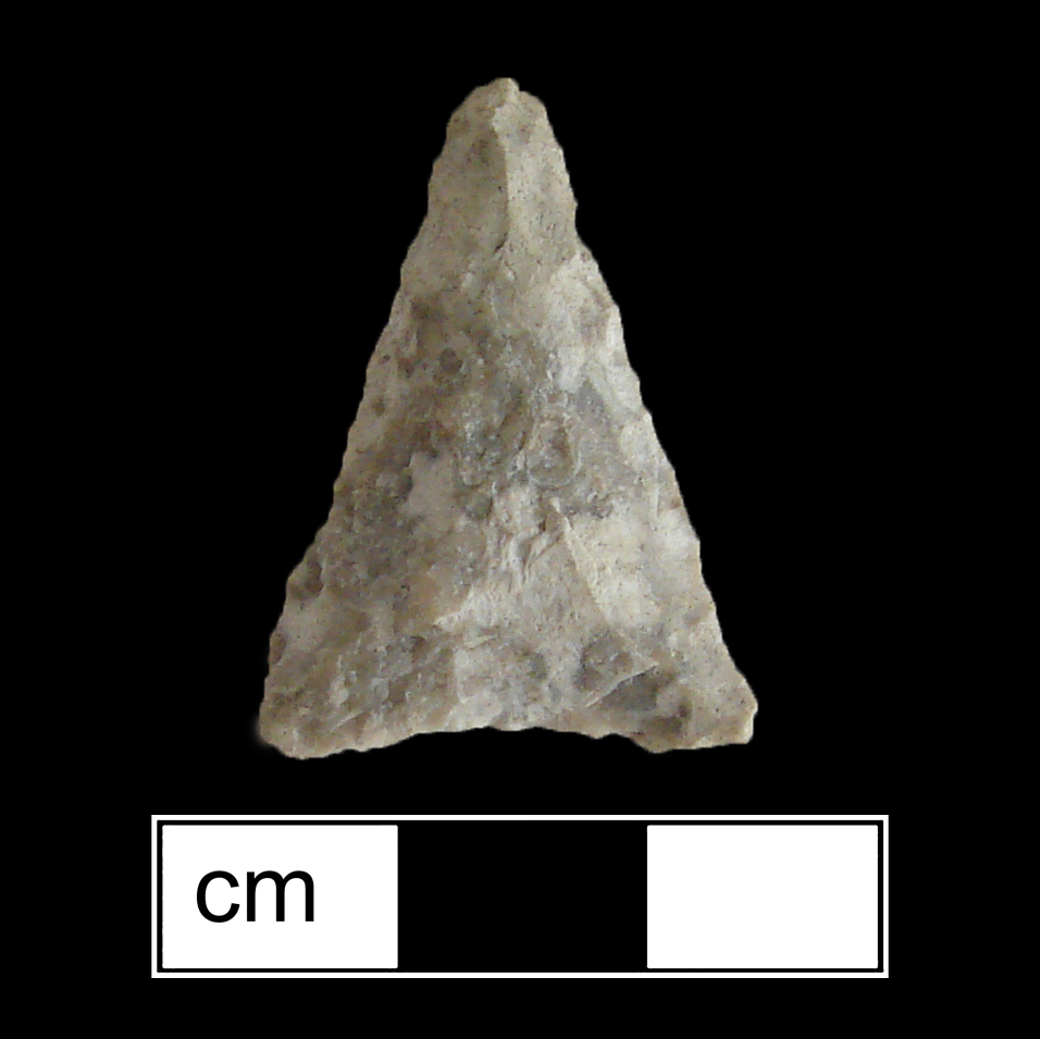 Image of stone projectile point made of Chert, Triangular shape, with a N/A stem, Serrated-Straight blade, and Straight base shape. Madison type.