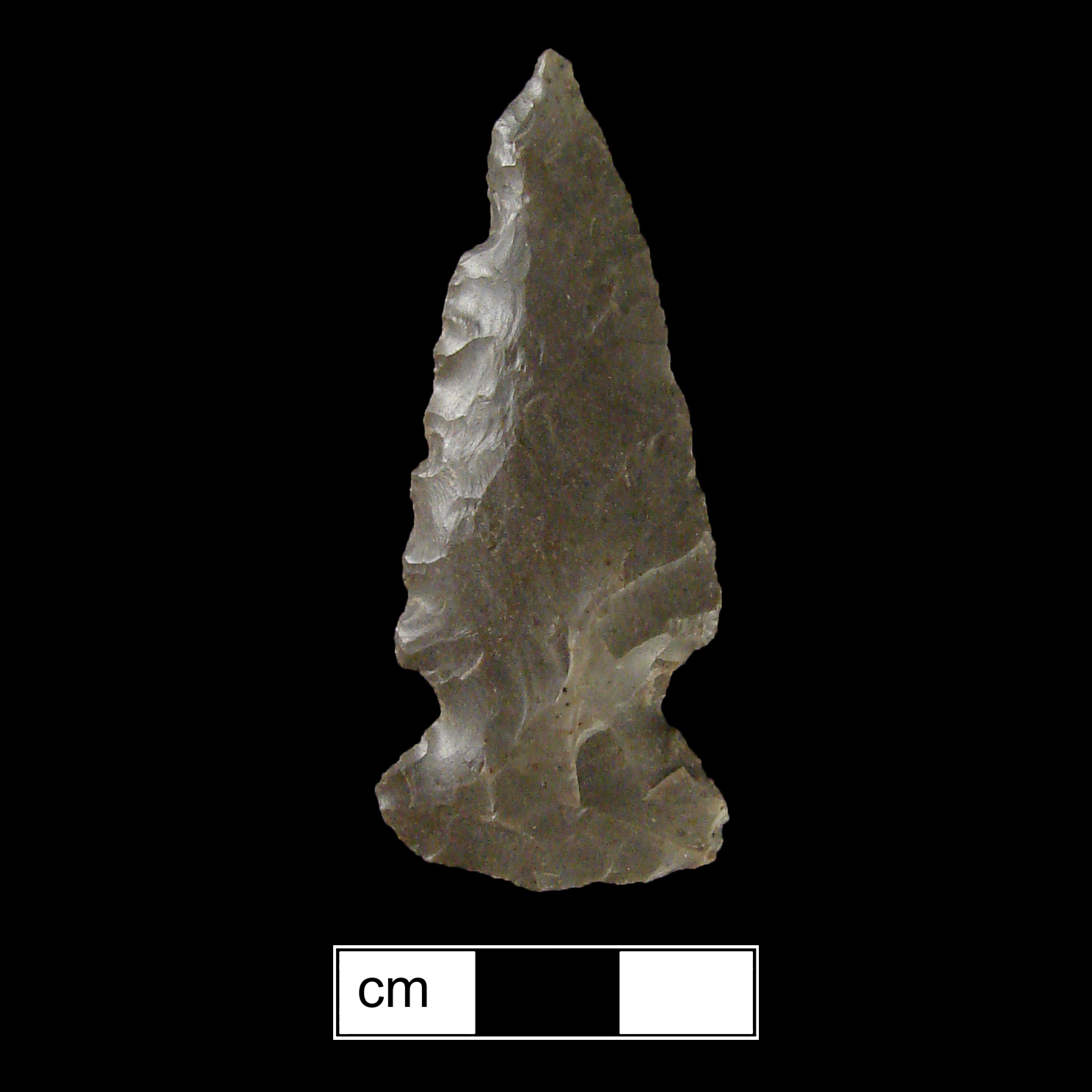 Image of stone projectile point made of Chert, Side-Notched shape, with a Expanding stem, Excurvate blade, and Convex base shape. Meadwood type.