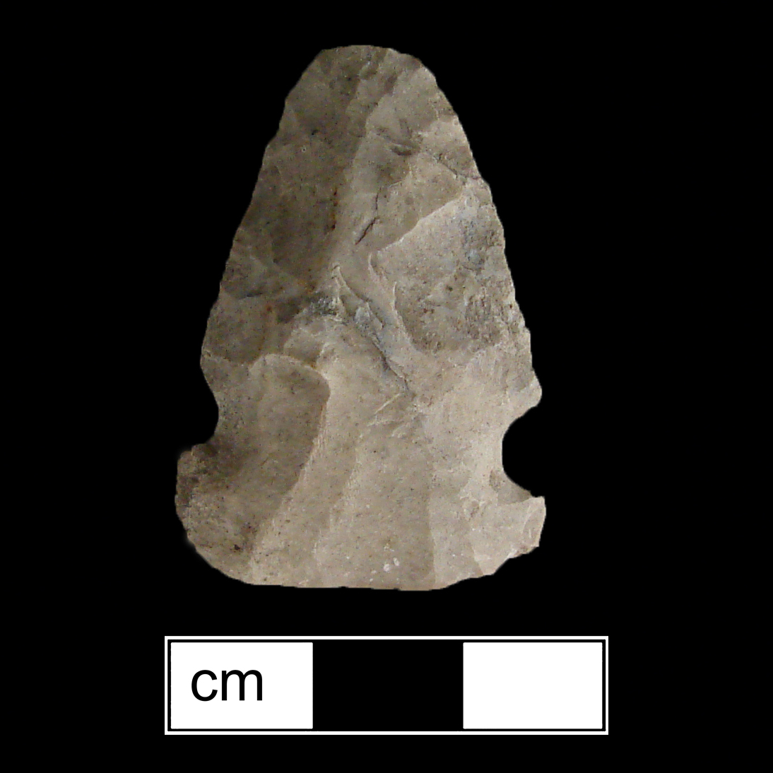 Image of stone projectile point made of Chert, Side-Notched shape, with a Expanding stem, Excurvate blade, and Convex base shape. Meadwood type.