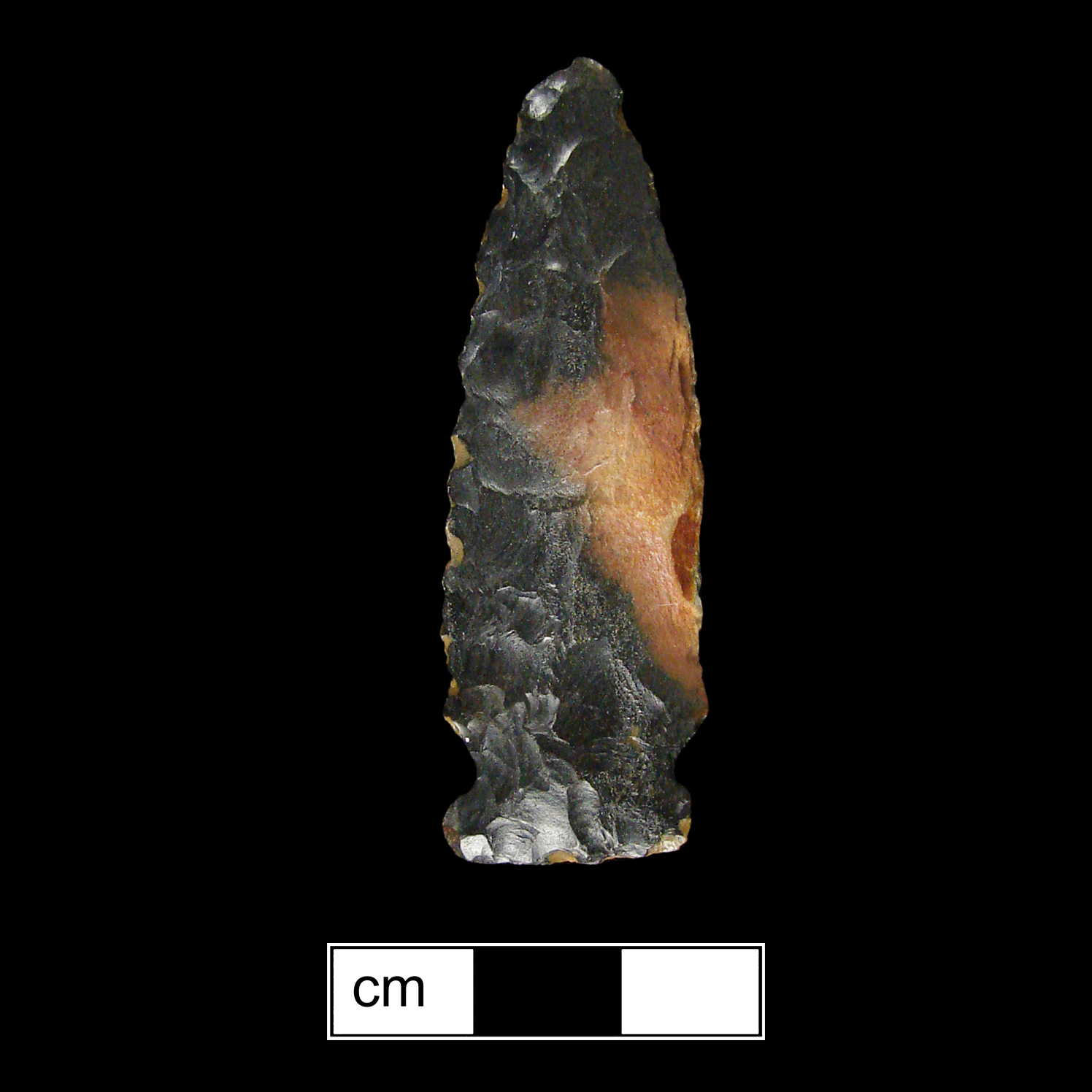 Image of stone projectile point made of Chert, Side-Notched shape, with a Expanding stem, Excurvate blade, and Straight base shape. Meadwood type.