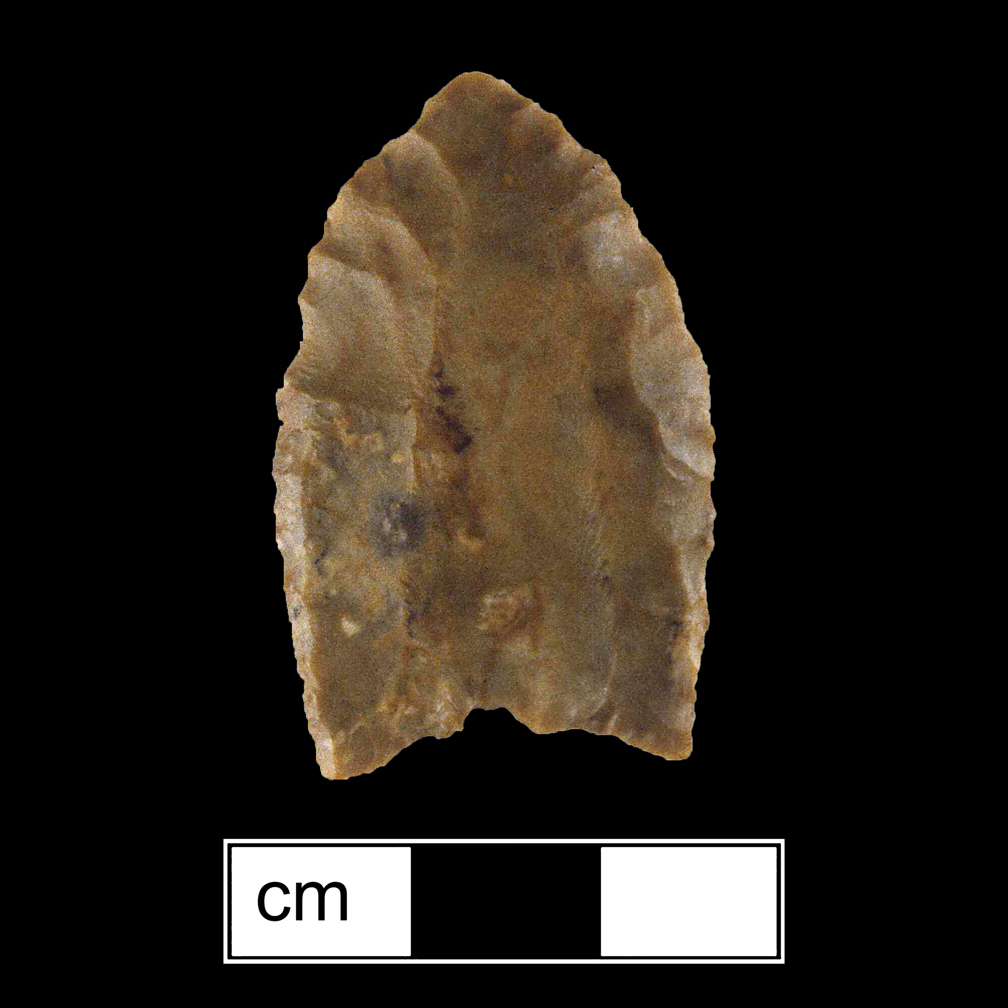 Image of stone projectile point made of Jasper, Lanceolate shape, with a N/A stem, Excurvate blade, and Concave base shape. Middle Paleo type.