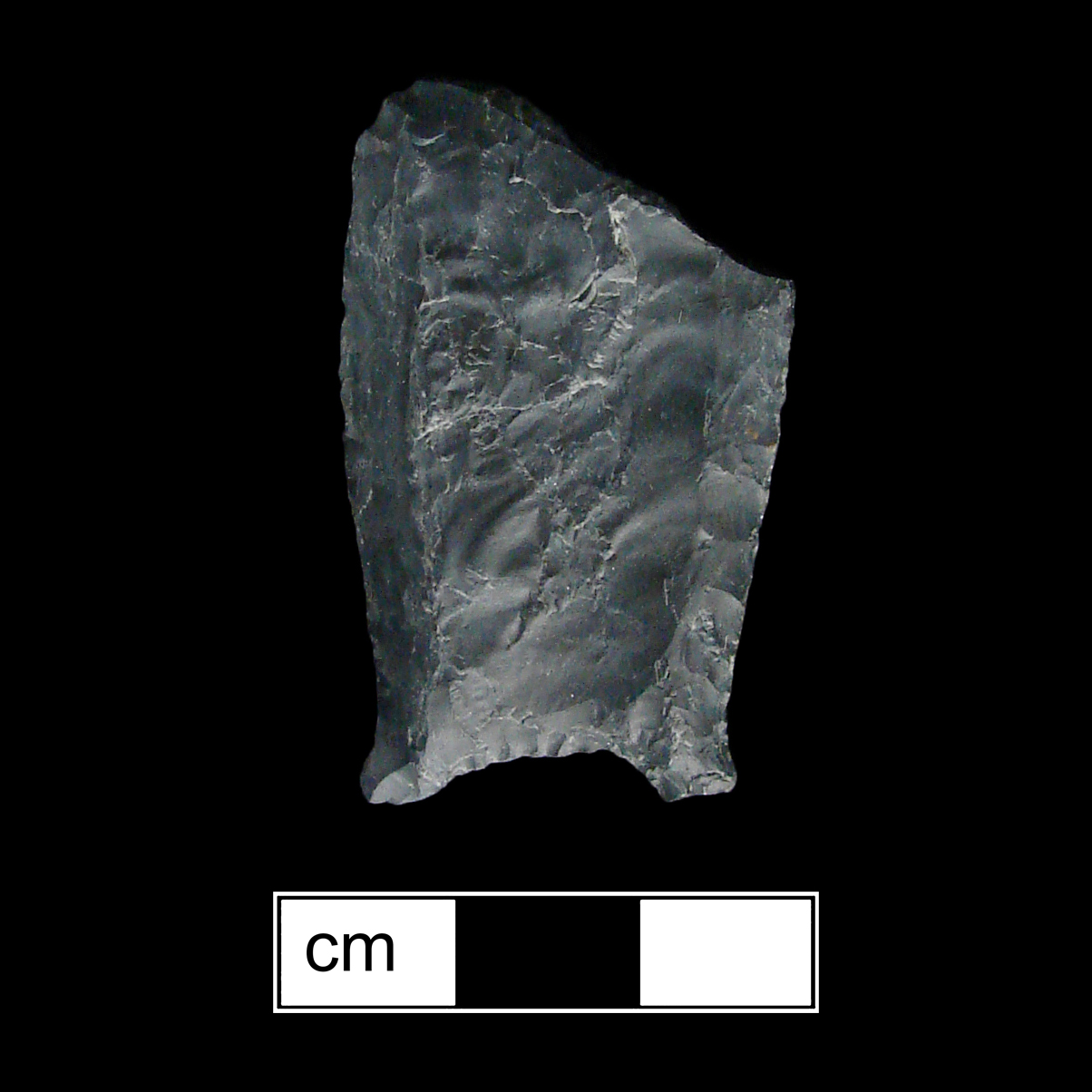 Image of stone projectile point made of Chert, Lanceolate shape, with a N/A stem, Excurvate blade, and Concave base shape. Middle Paleo type.