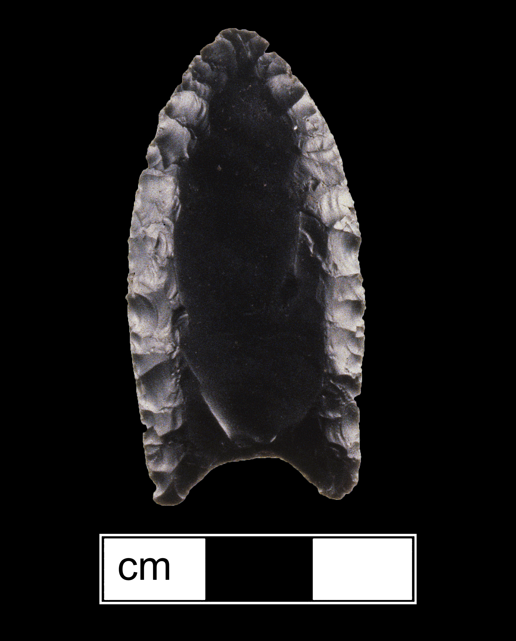 Image of stone projectile point made of Chert, Lanceolate shape, with a N/A stem, Excurvate blade, and Concave base shape. Middle Paleo type.