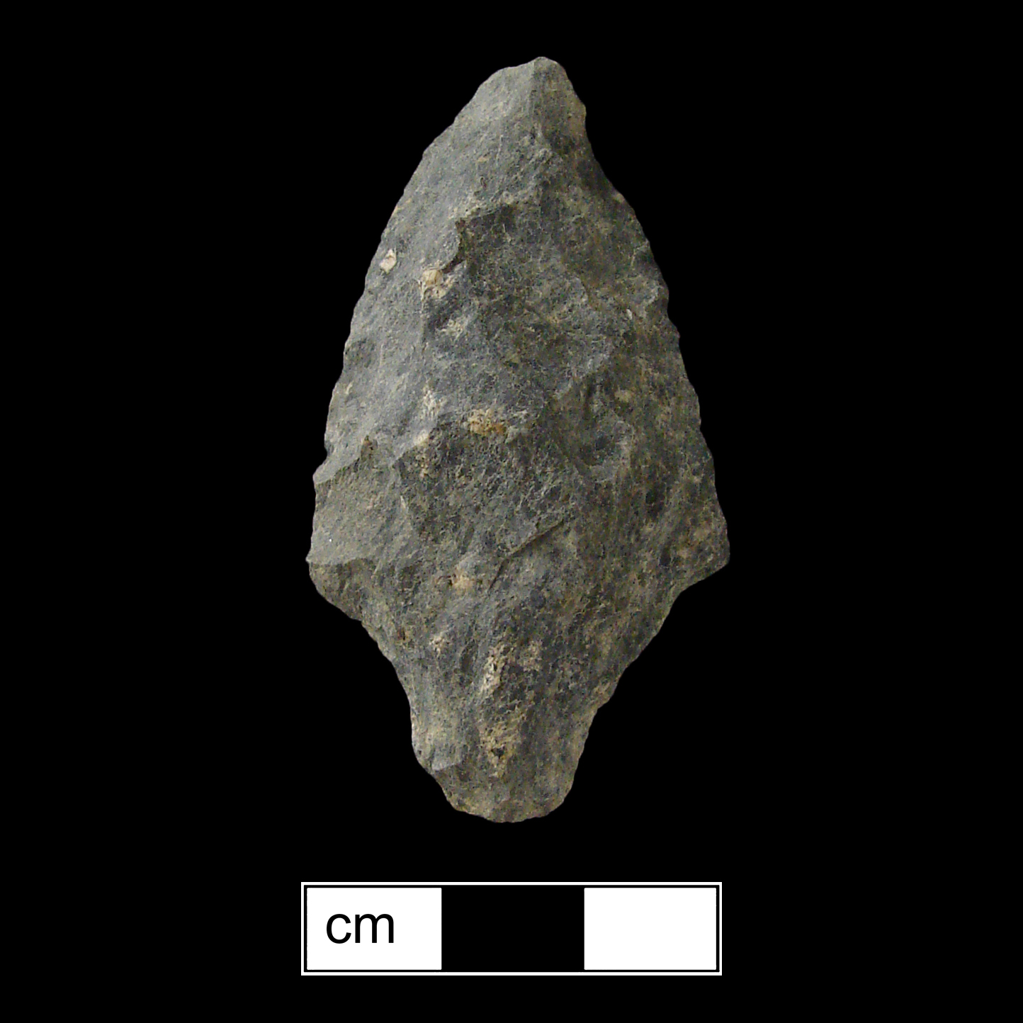 Image of stone projectile point made of Rhyolite, Contracting Stem shape, with a contracting stem, Excurvate blade, and Convex base shape. Morrow Mountain type.