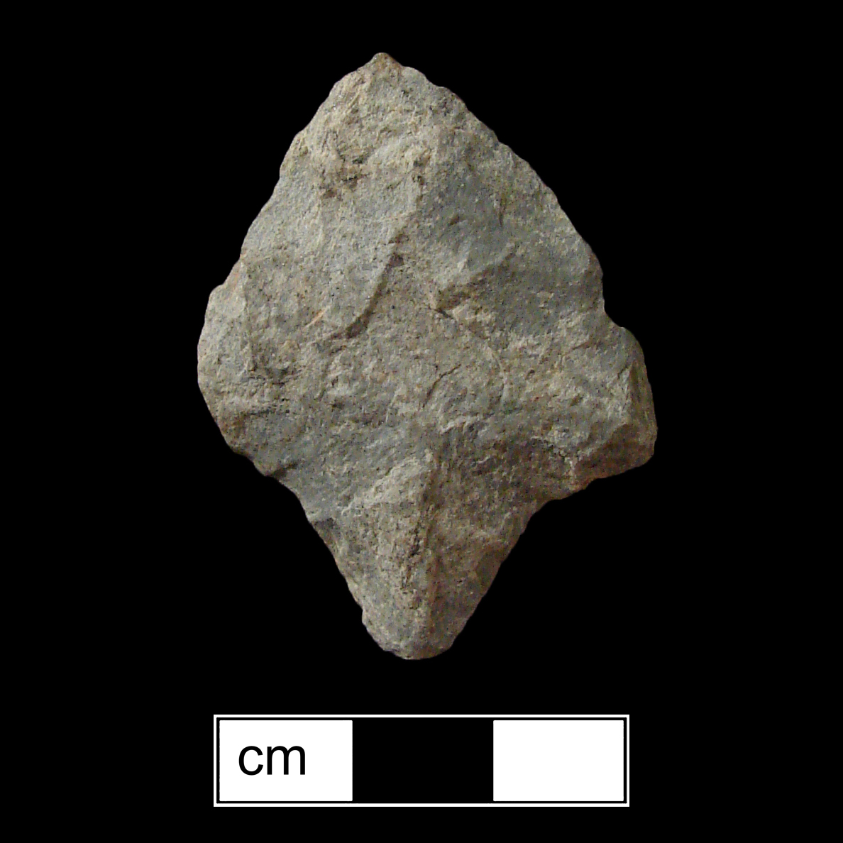 Image of stone projectile point made of Rhyolite, Contracting Stem shape, with a contracting stem, Excurvate blade, and Convex base shape. Morrow Mountain type.