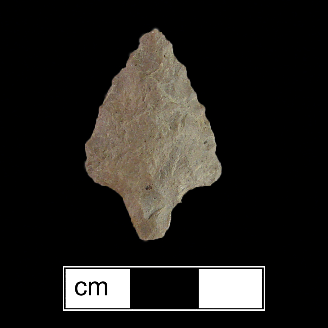 Image of stone projectile point made of Rhyolite, Contracting Stem shape, with a contracting stem, Excurvate blade, and Straight base shape. Morrow Mountain type.