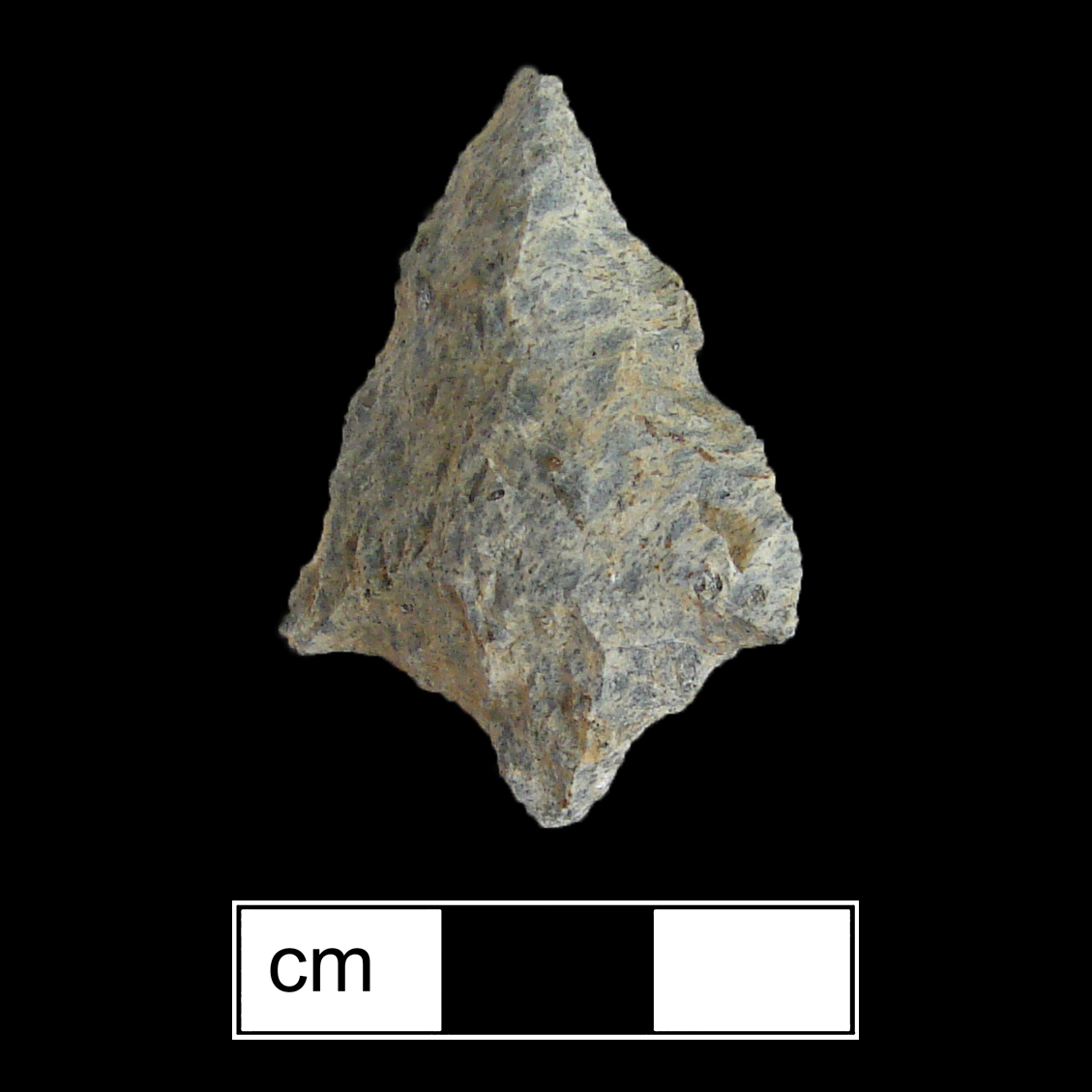 Image of stone projectile point made of Quartzite, Contracting Stem shape, with a contracting stem, Excurvate blade, and Convex base shape. Morrow Mountain type.