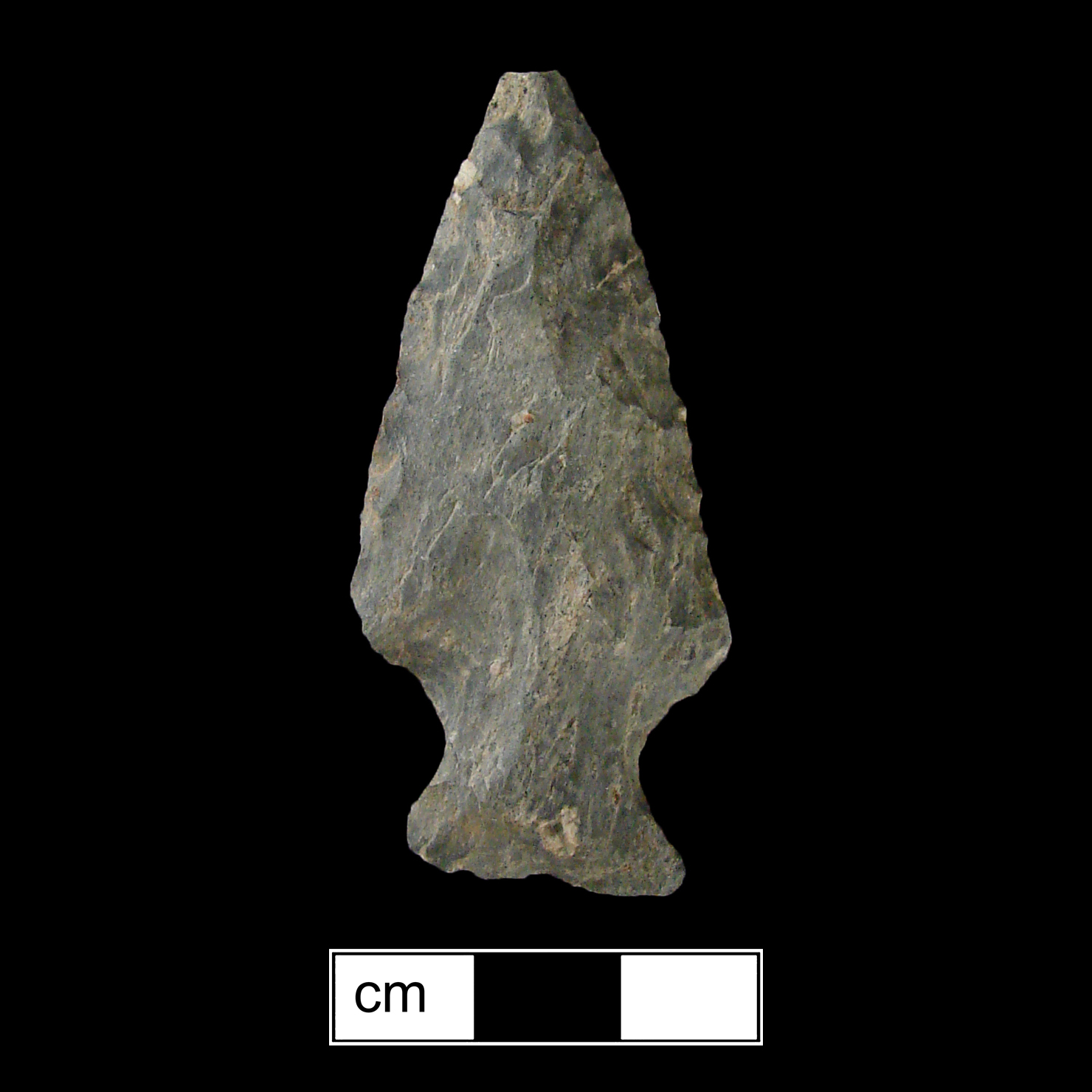 Image of stone projectile point made of Rhyolite, Side-Notched shape, with a Expanding stem, Excurvate blade, and Straight base shape. Normanskill type.