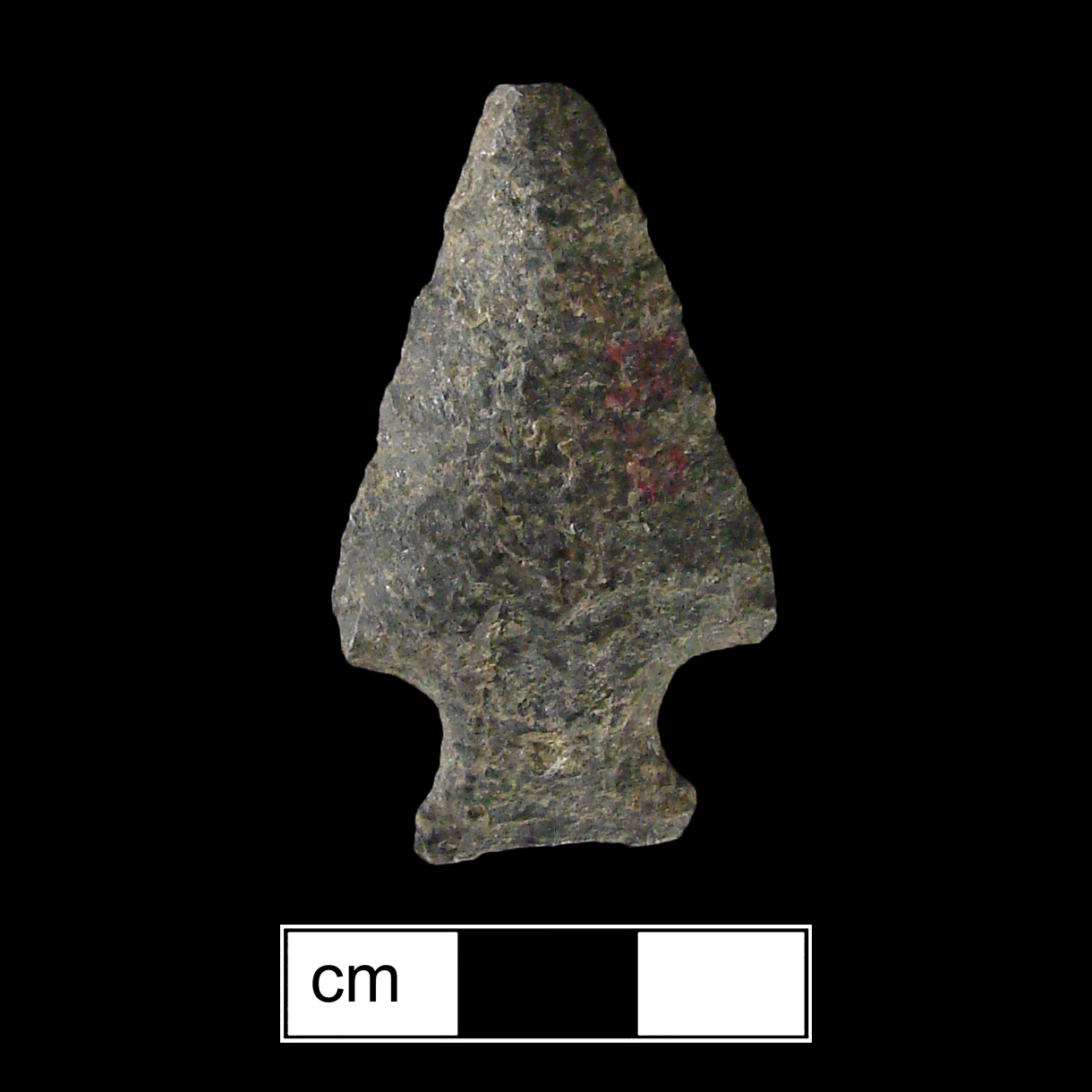 Image of stone projectile point made of Quartzite, Side-Notched shape, with a Expanding stem, Straight blade, and Concave base shape. Normanskill type.