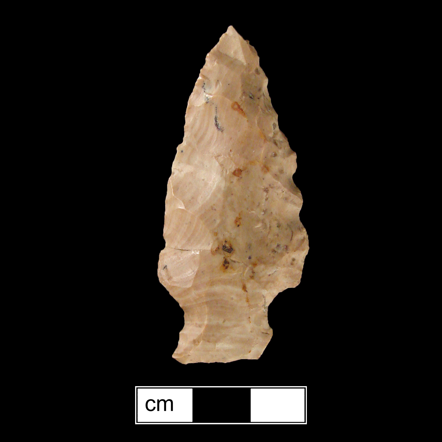 Image of stone projectile point made of Chert, Side-Notched shape, with a Expanding stem, Excurvate blade, and Straight base shape. Normanskill type.