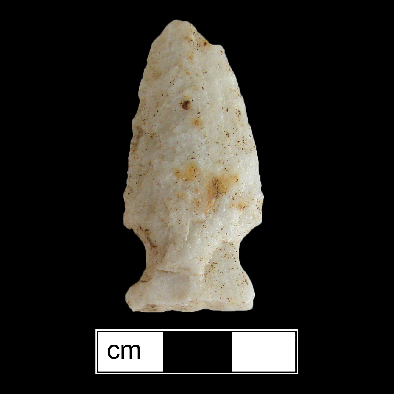 Image of stone projectile point made of Quartzite, Side-Notched shape, with a Expanding stem, Excurvate blade, and Straight base shape. Normanskill type.