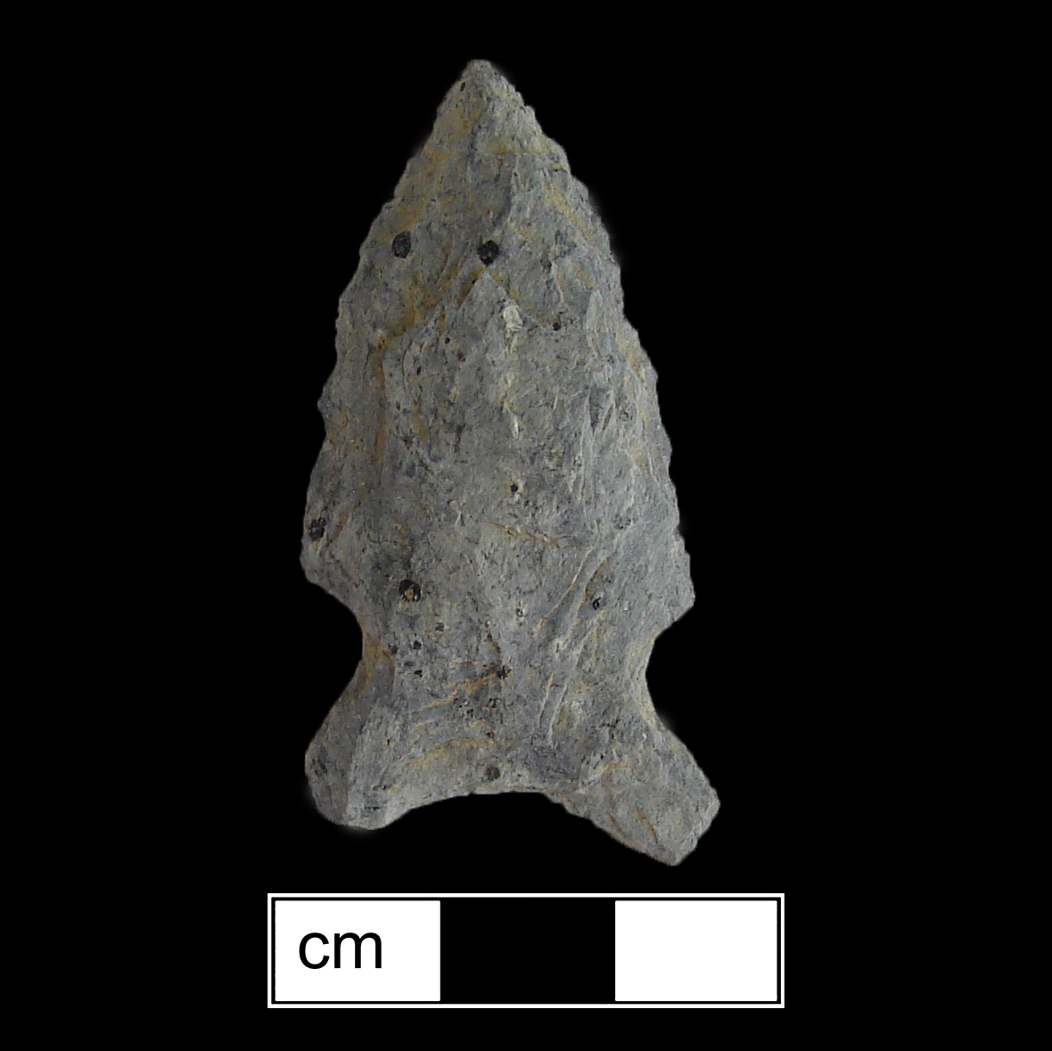 Image of stone projectile point made of Quartzite, Side-Notched shape, with a Expanding stem, Excurvate blade, and Concave base shape. Otter Creek type.