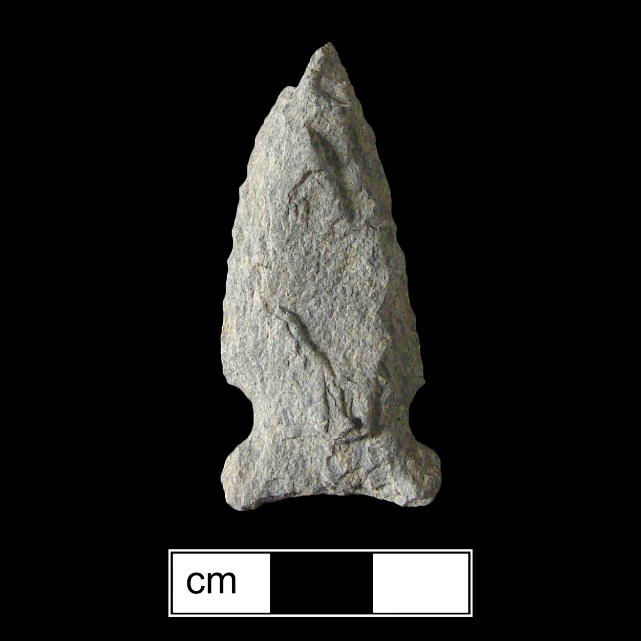 Image of stone projectile point made of Quartzite, Side-Notched shape, with a Expanding stem, Excurvate blade, and Concave base shape. Otter Creek type.