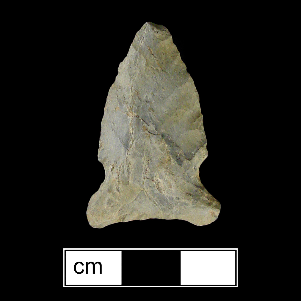 Image of stone projectile point made of Rhyolite, Side-Notched shape, with a Expanding stem, Excurvate blade, and Concave base shape. Otter Creek type.