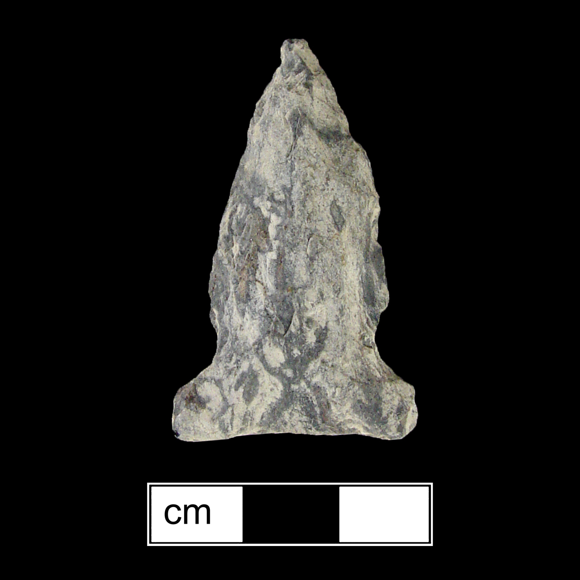 Image of stone projectile point made of Rhyolite, Side-Notched shape, with a Expanding stem, Excurvate blade, and Concave base shape. Otter Creek type.