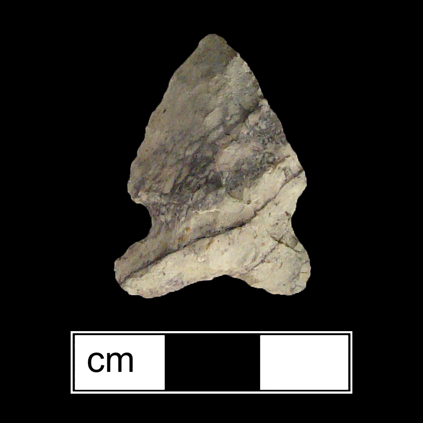 Image of stone projectile point made of Rhyolite, Side-Notched shape, with a Expanding stem, Excurvate blade, and Concave base shape. Otter Creek type.