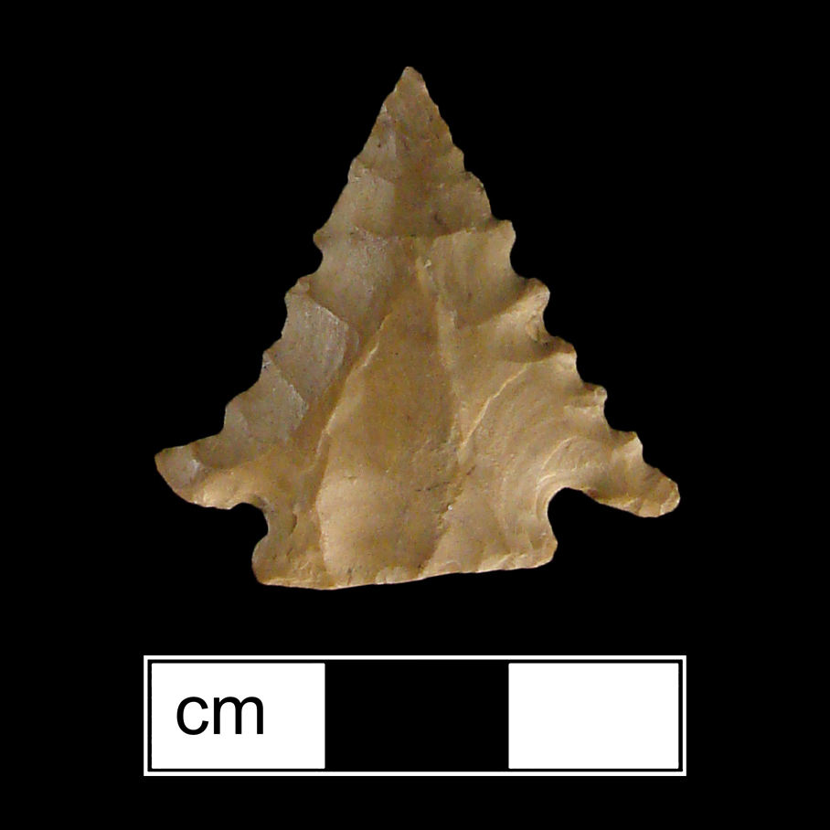 Image of stone projectile point made of Jasper, Corner-Notched shape, with a Expanding stem, Serrated-Incurvate blade, and Straight base shape. Palmer type.