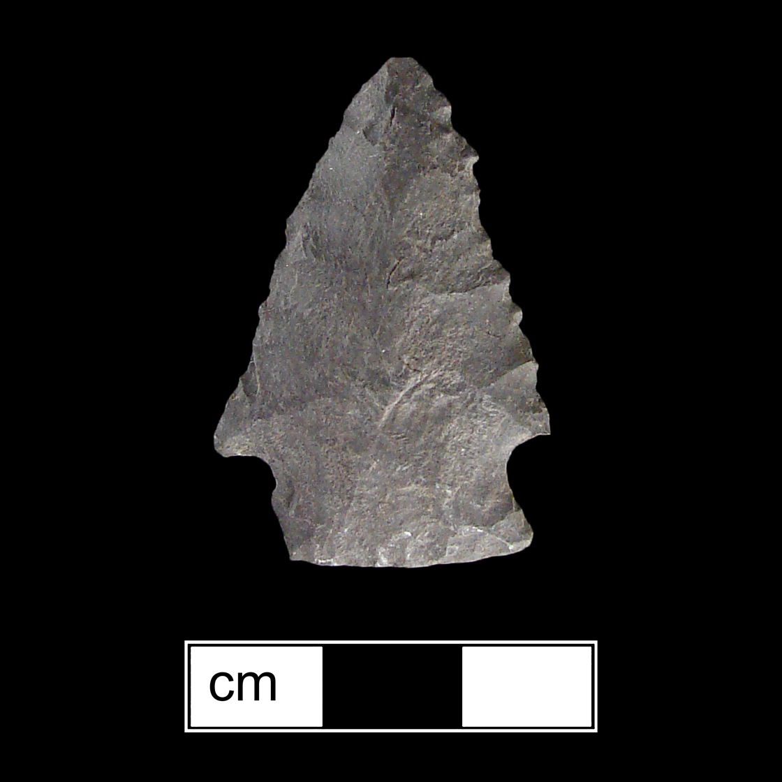 Image of stone projectile point made of Chert, Corner-Notched shape, with a Expanding stem, Straight blade, and Convex base shape. Palmer type.