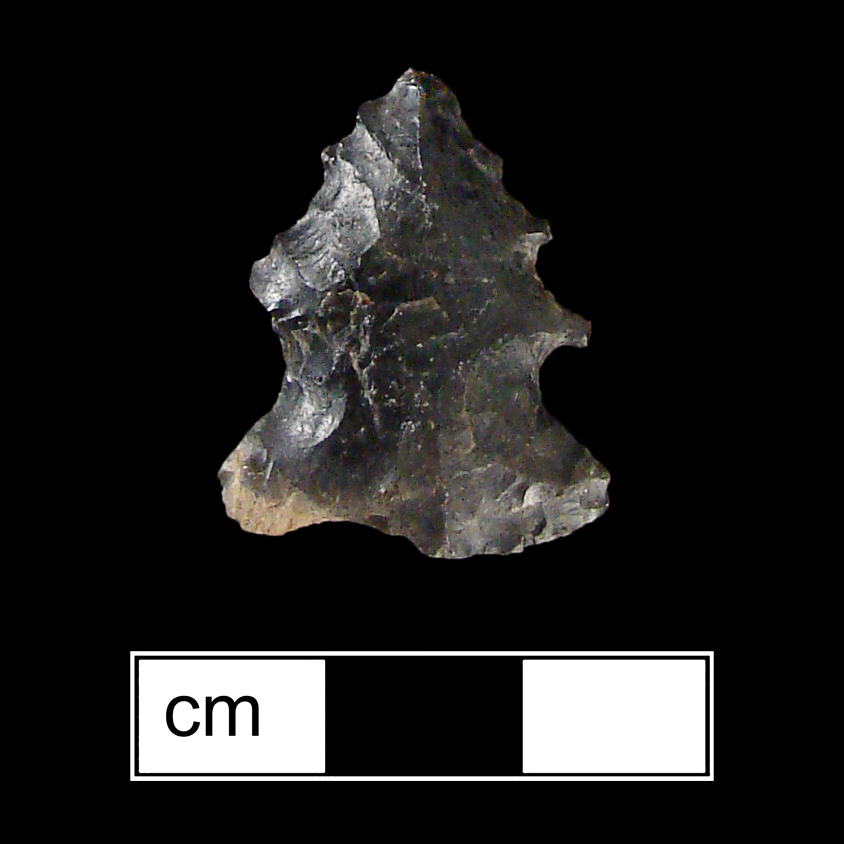 Image of stone projectile point made of Chert, Corner-Notched shape, with a Expanding stem, Straight blade, and Straight base shape. Palmer type.