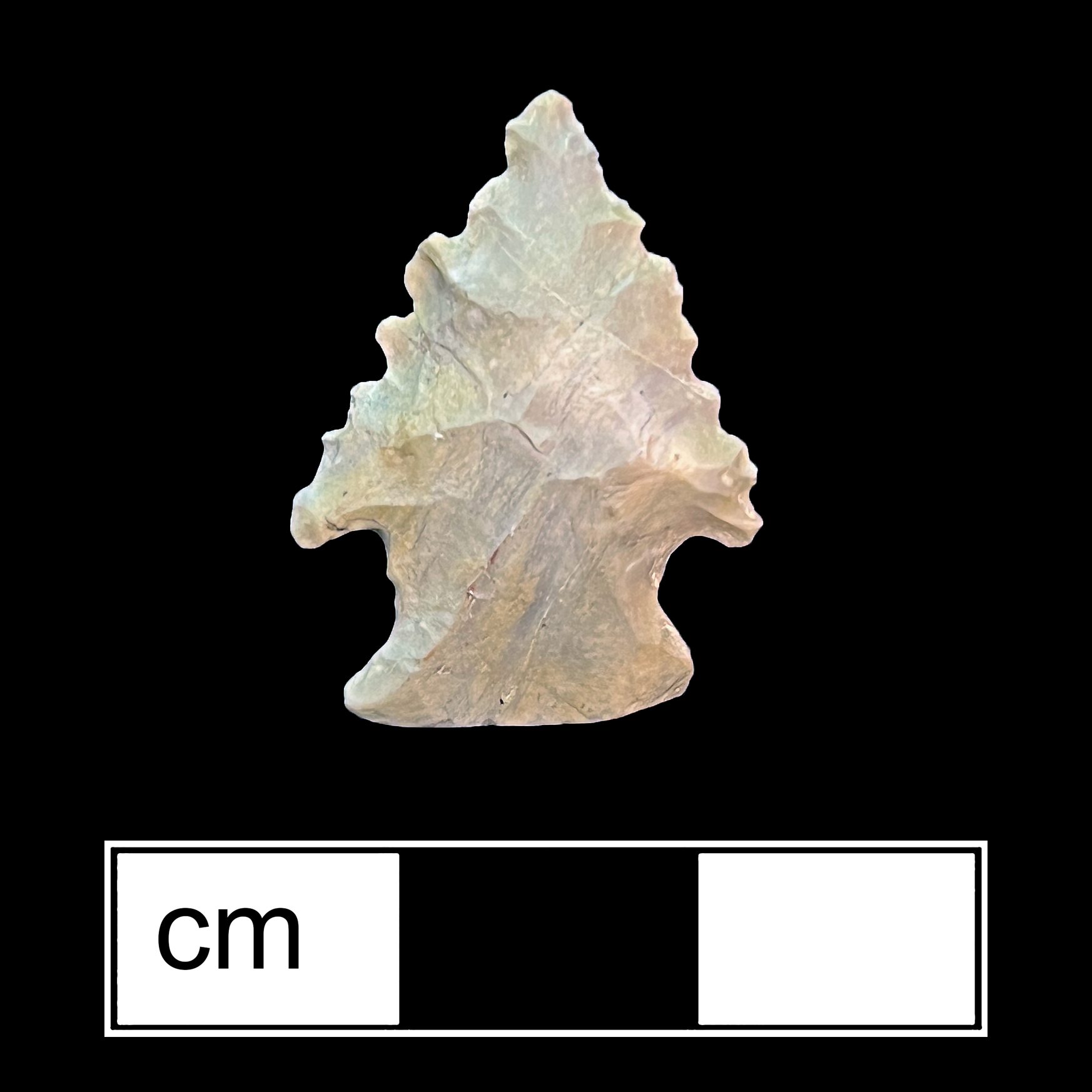 Image of stone projectile point made of Chert, Corner-Notched shape, with a Expanding stem, Serrated blade, and Convex base shape. Palmer type.