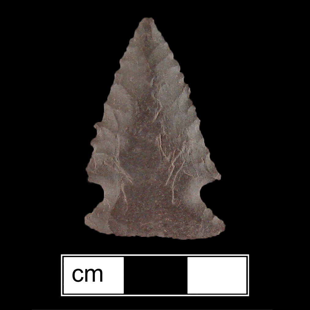 Image of stone projectile point made of Chert, Corner-Notched shape, with a Expanding stem, Straight blade, and Straight base shape. Palmer type.