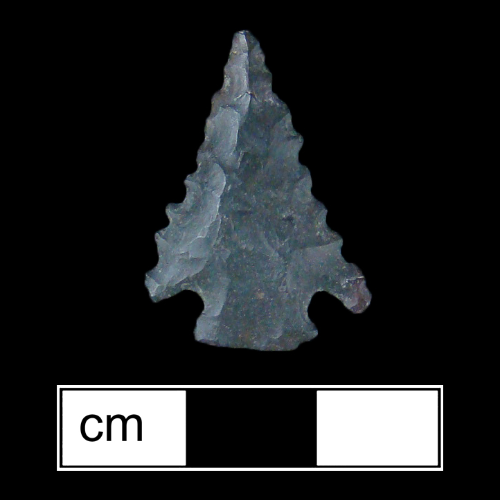 Image of stone projectile point made of Chert, Corner-Notched shape, with a Expanding stem, Serrated-Incurvate blade, and Straight base shape. Palmer type.