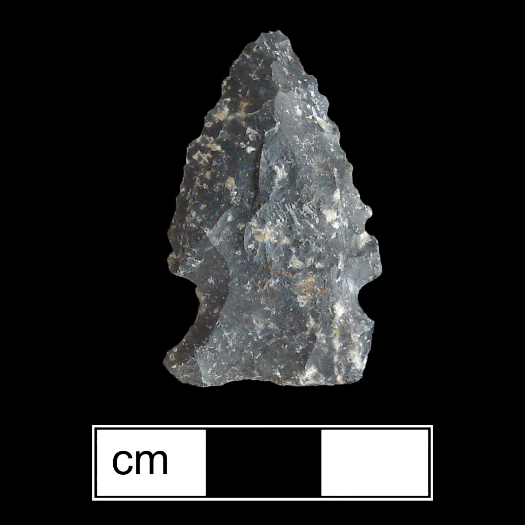Image of stone projectile point made of Chert, Corner-Notched shape, with a Expanding stem, Straight blade, and Straight base shape. Palmer type.