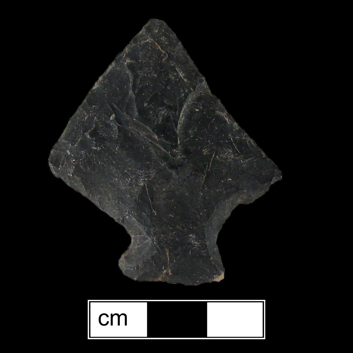 Image of stone projectile point made of Chert, Stemmed shape, with a Contracting stem, Excurvate blade, and Convex base shape. Perkiomen type.