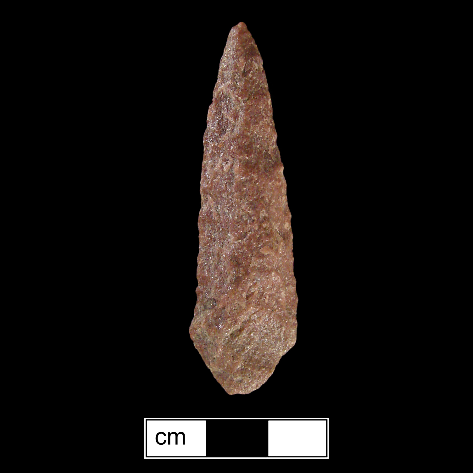 Image of stone projectile point made of Quartzite, Contracting Stem shape, with a Contracting stem, Excurvate blade, and Convex base shape. Piscataway type.